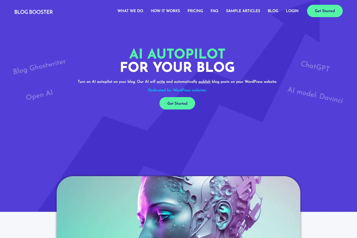 Blog Booster