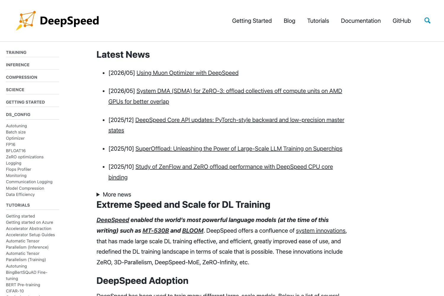DeepSpeed