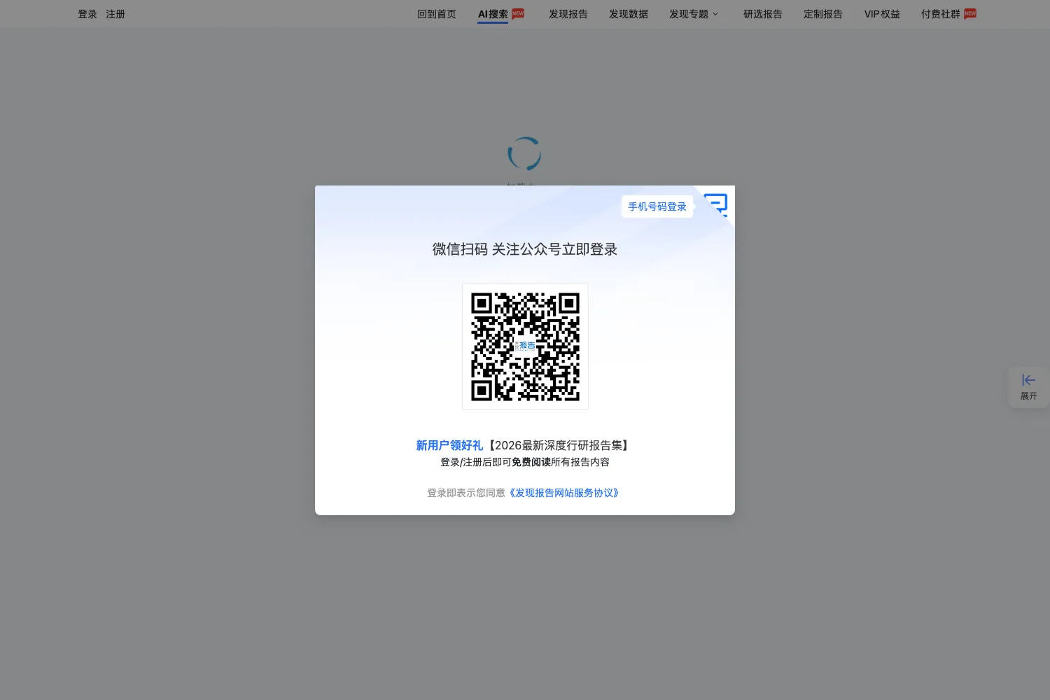 发现报告