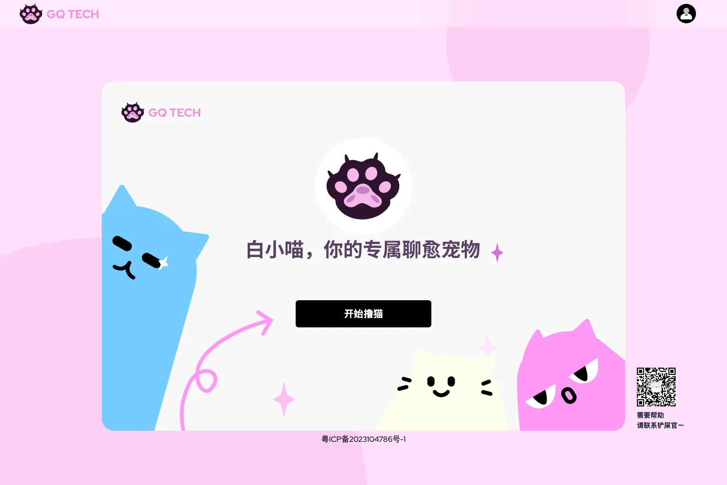 白小喵
